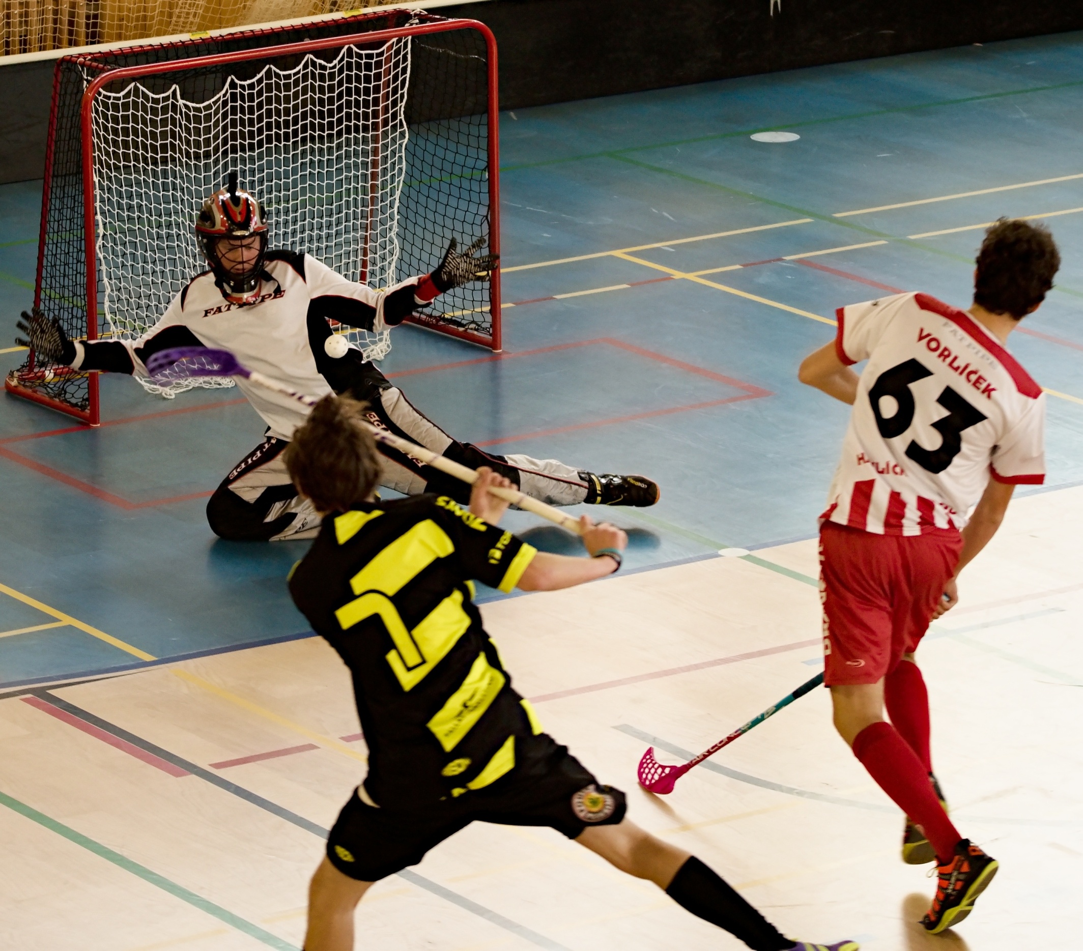 JunciLedec241015 029 (1)